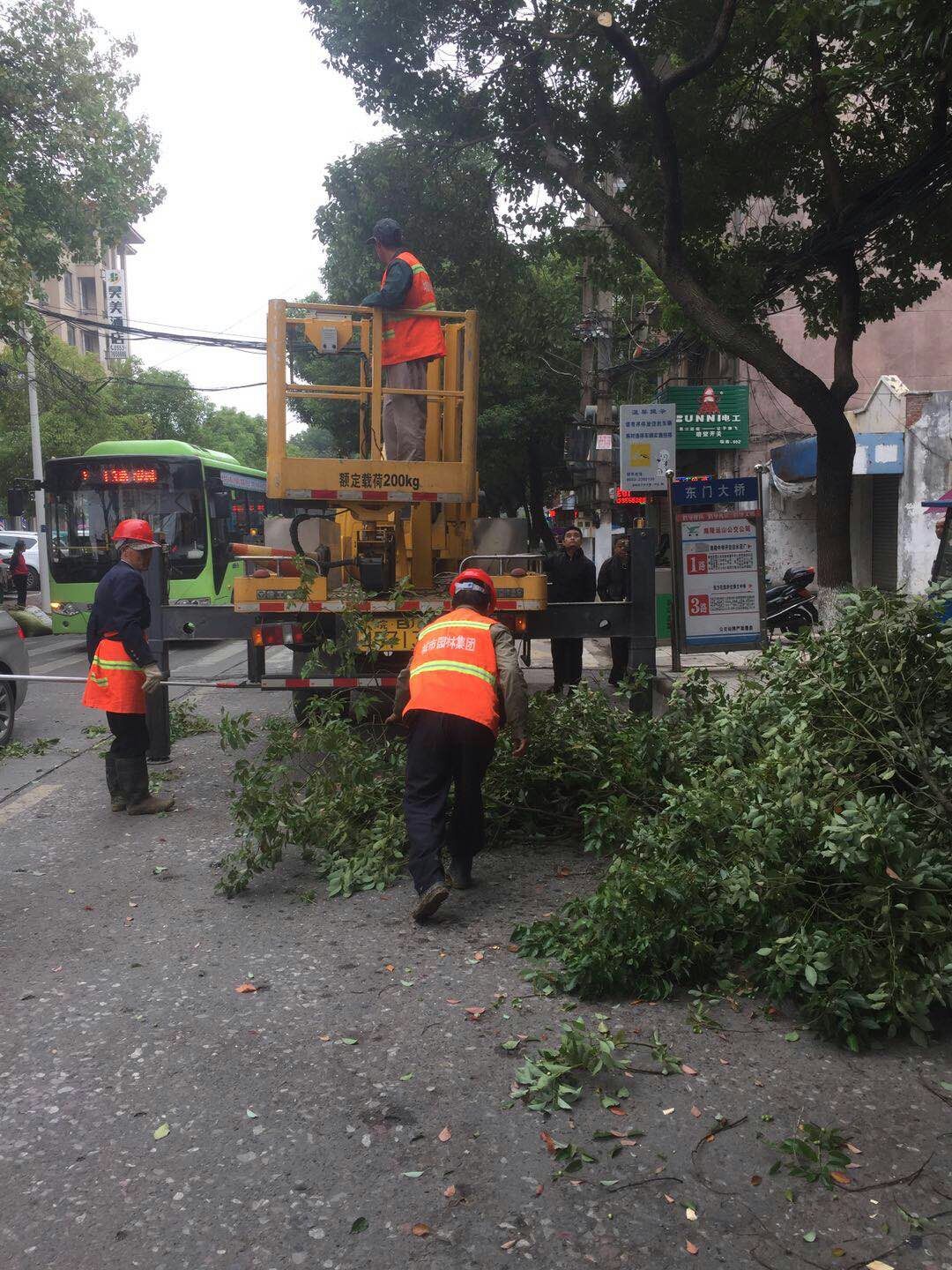 近日，我公司根據南陵縣市政園林所通知，組織安排人員車輛協(xié)助市政園林所路燈科修剪陵陽路兩側遮擋路燈照明的樹枝。此項工作持續(xù)了三天，消除了因路燈光照不足帶來的夜間通行安全隱患問題，受到沿線居民一致好評。